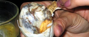 Balut